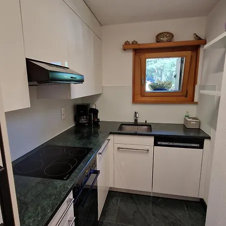 아파트 Chesa Bellaval, Haus Rizza 2-zimmerwohnung 실파플라나